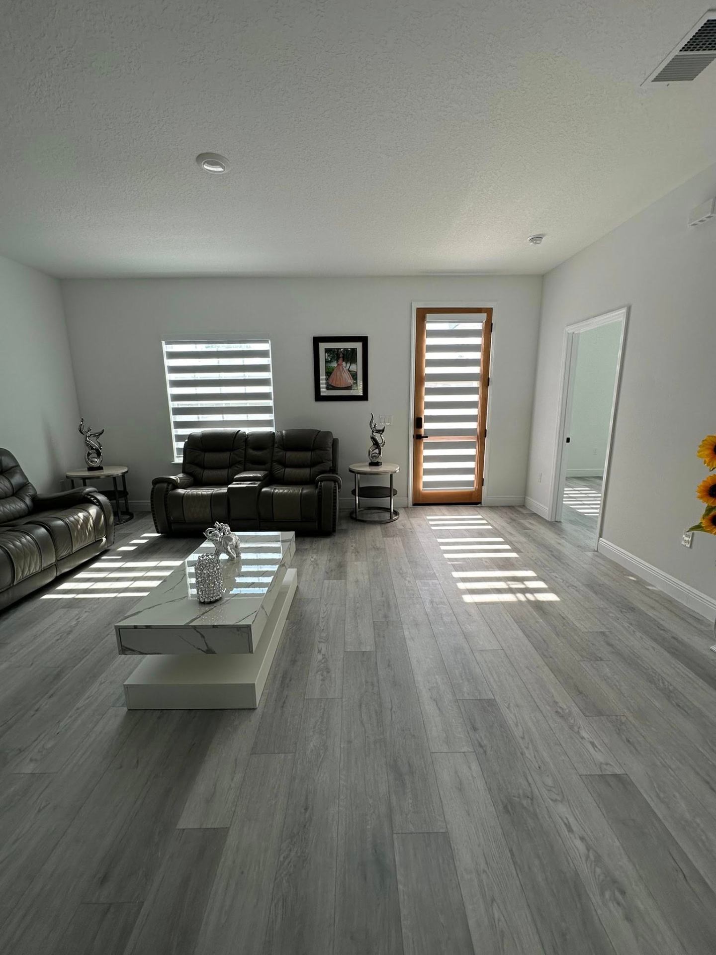 Motorized zebra blinds in a modern South Tampa living room